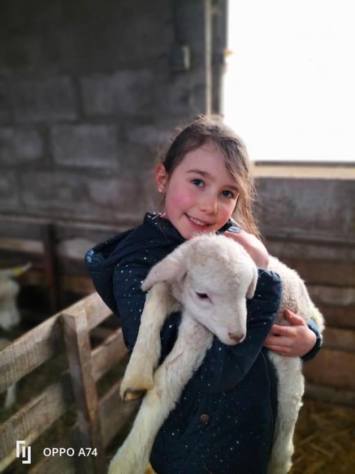Gite La Dame Au Lit Gite A La Ferme Momignies Екстериор снимка