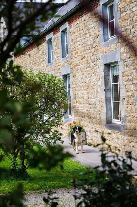 Gite La Dame Au Lit Gite A La Ferme Momignies Екстериор снимка